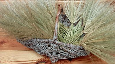 Warsztaty Tworzenia Tradycyjnego Wieńca Dożynkowego III